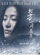 剑舞九州：新手指南，助你轻松入门